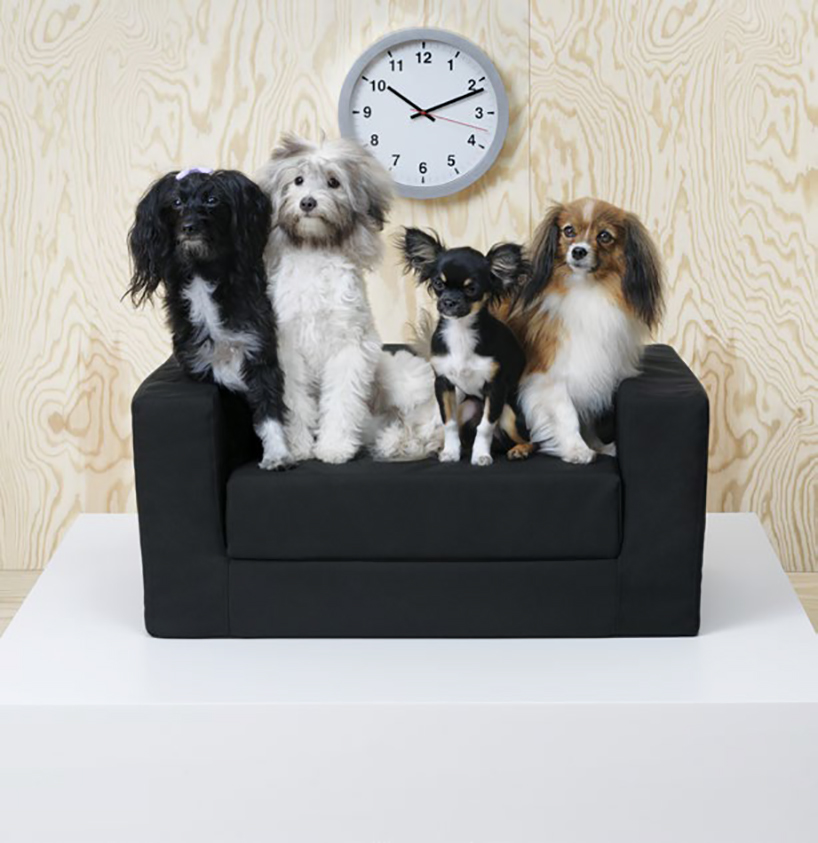 Ikea evcil hayvanlar için aksesuar ve mobilya tasarladı Dünya Halleri